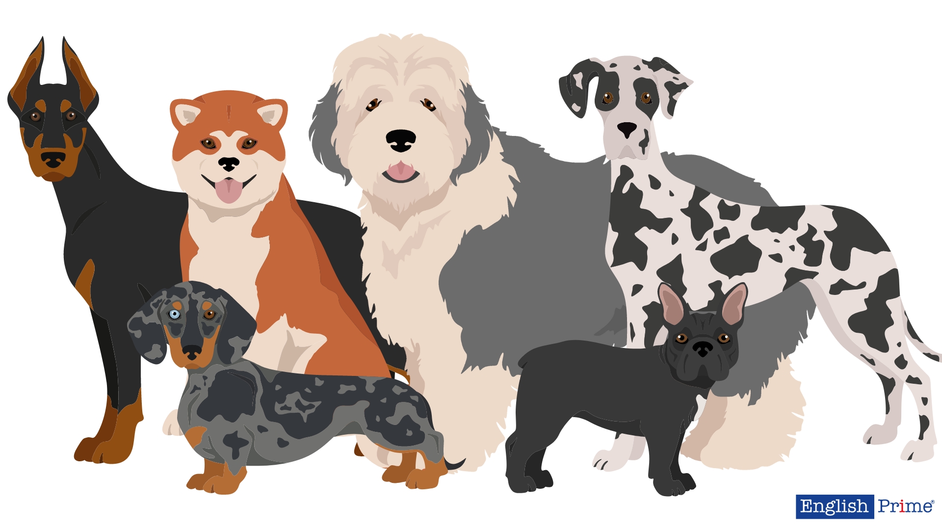 Породы собак на английском