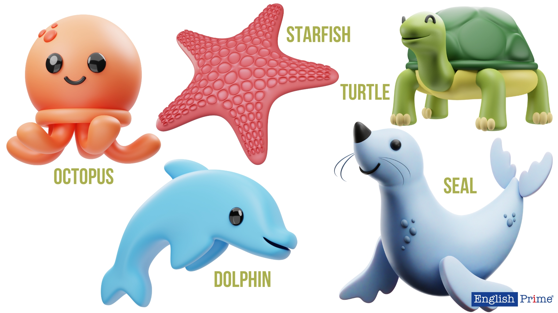 Морская флора и фауна