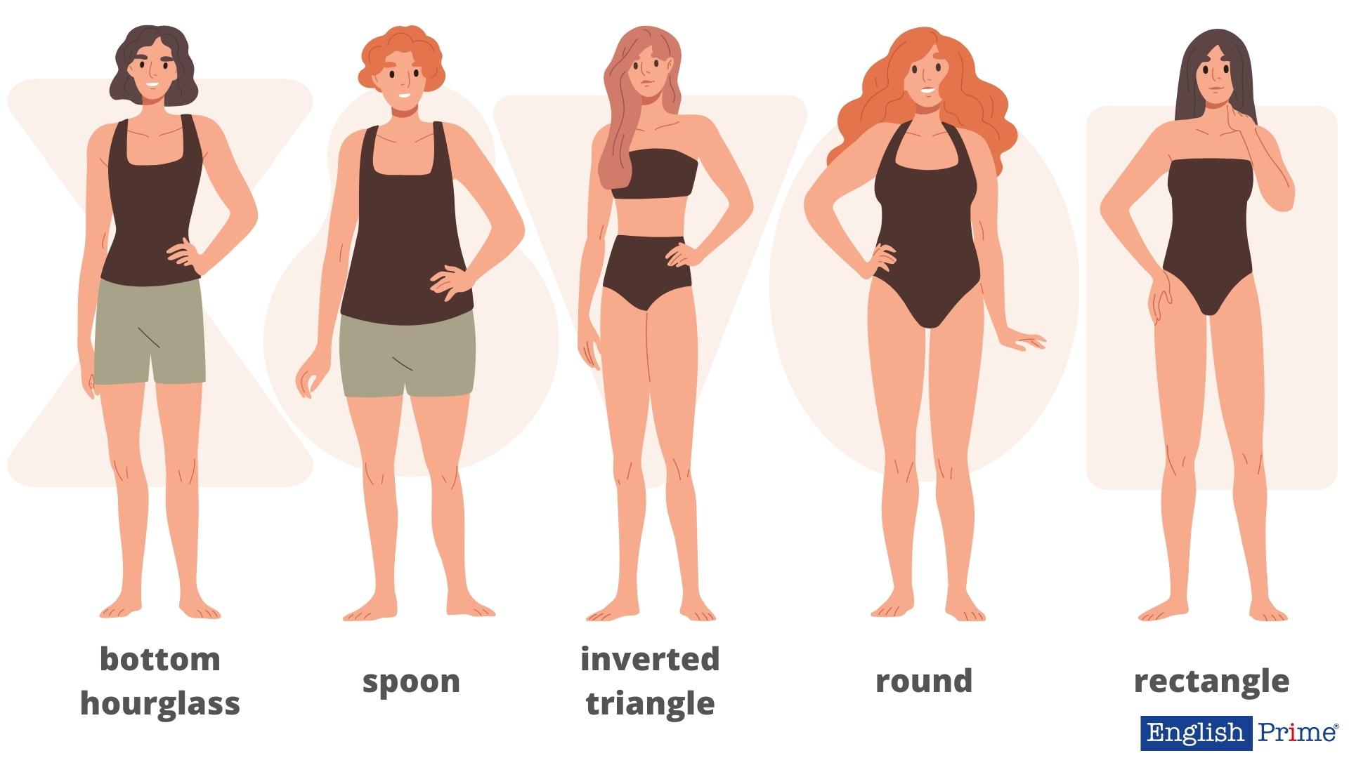 Форми тіла – Body Shapes