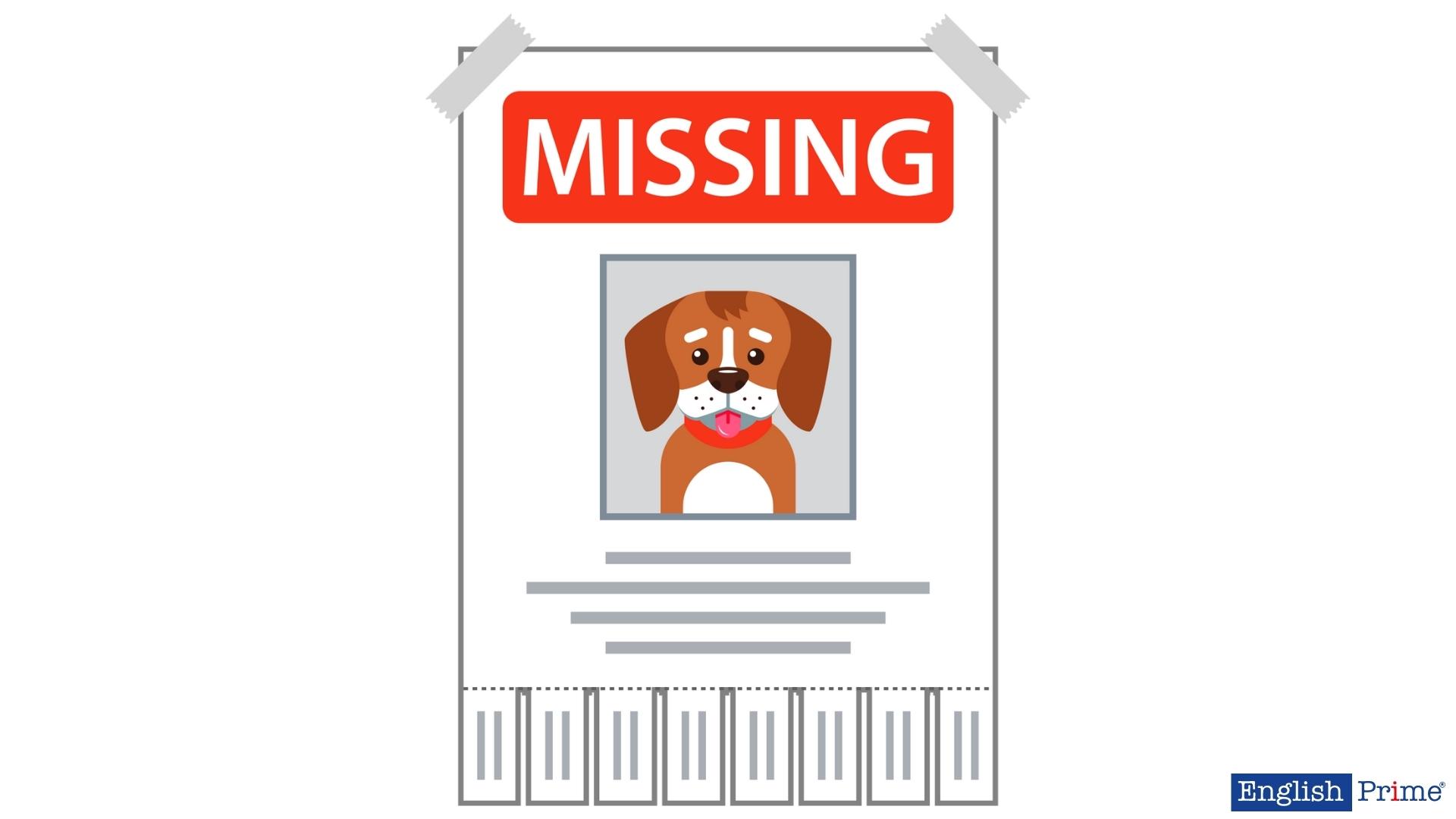 Оголошення про пошук зниклої собачки