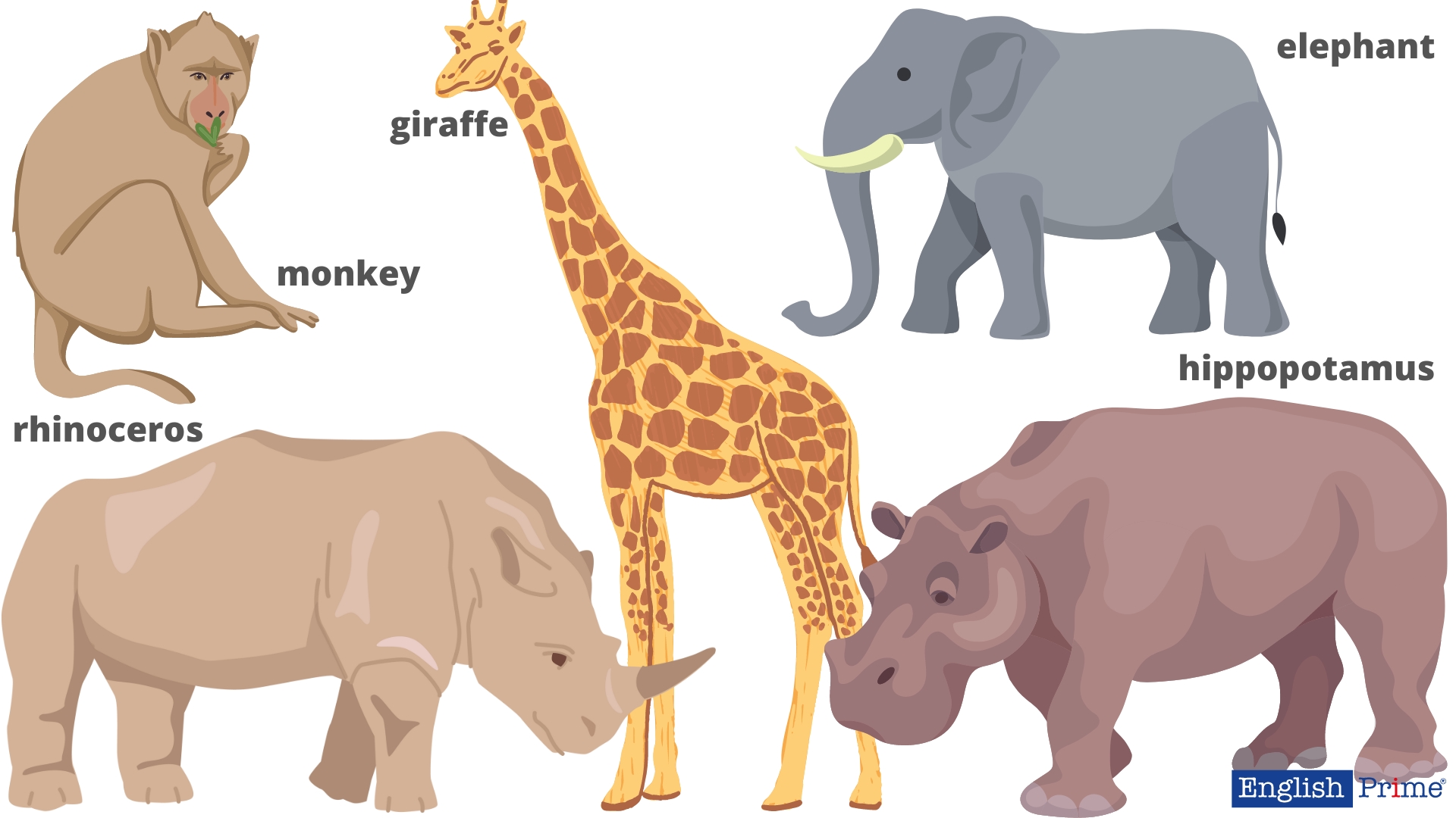 Травоїдні тварини - herbivores