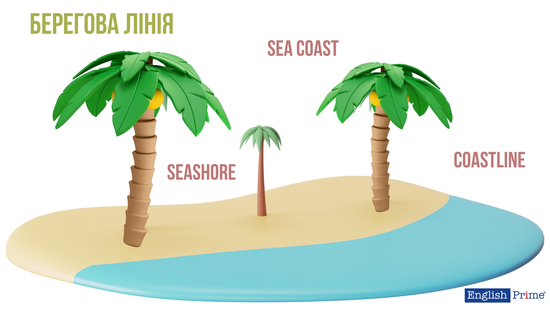 Берегова лінія