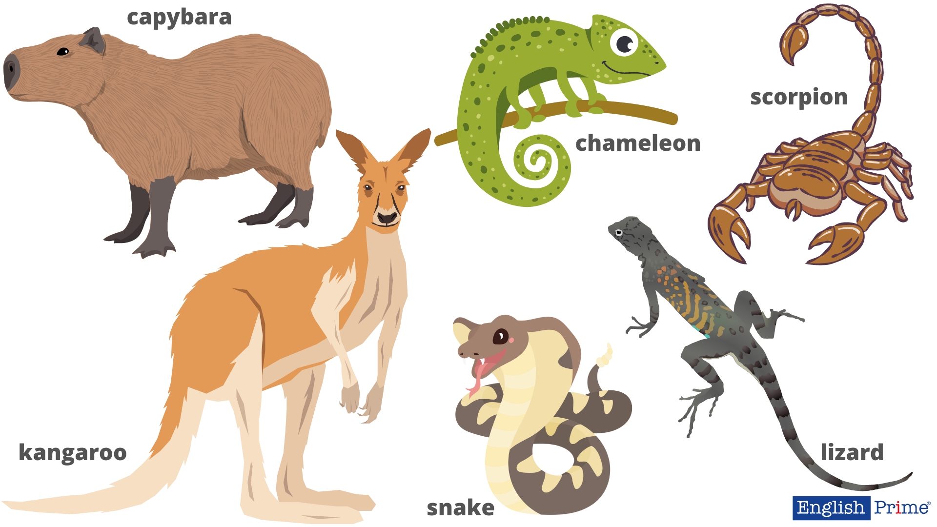 Екзотичні тварини