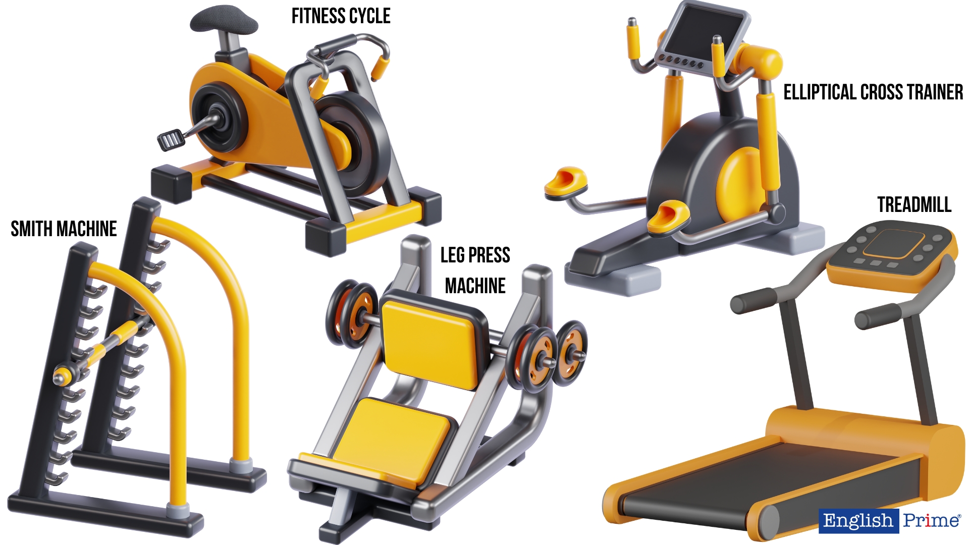 Название тренажеров в спортзале