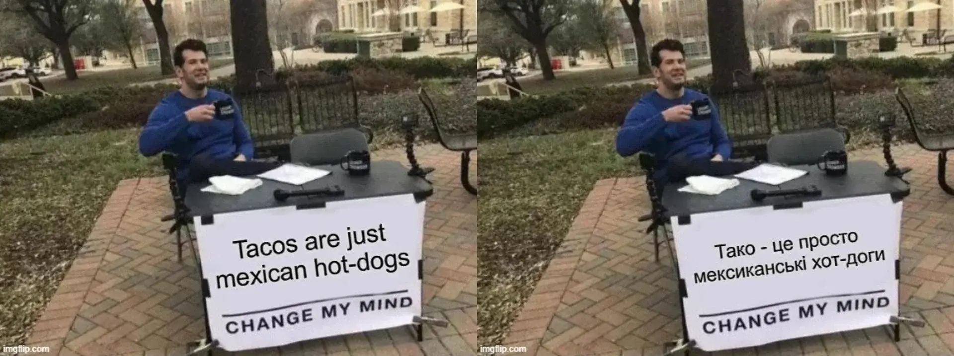 Is This a Pigeon? (це голуб?)