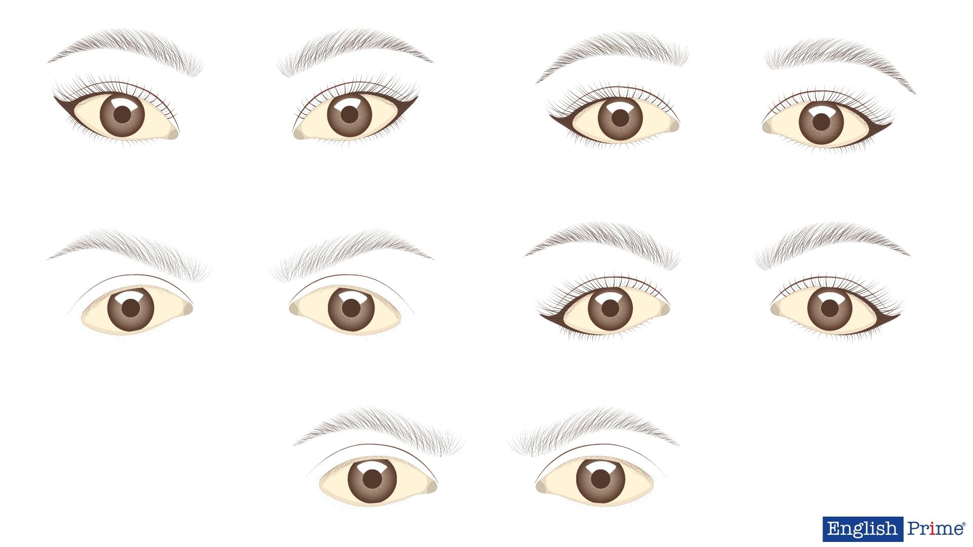 Форма и размер (Shape and Size)