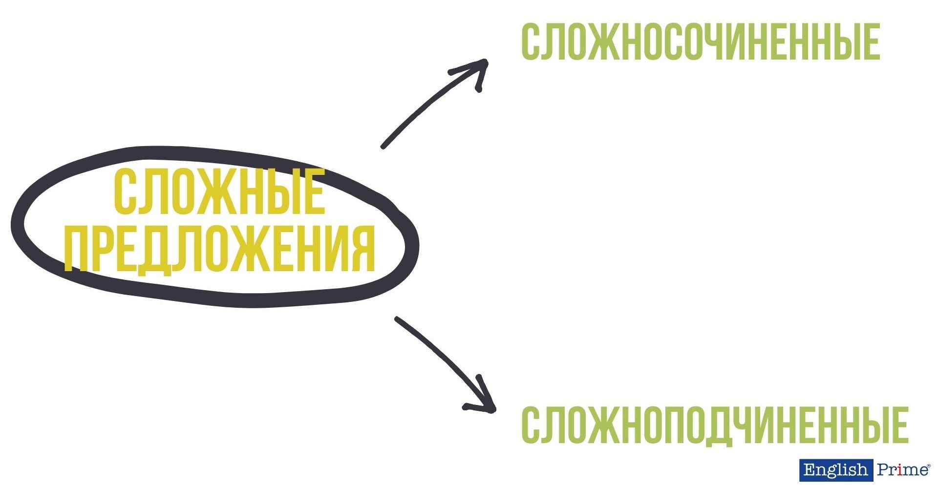 Виды сложных предложений в английском языке