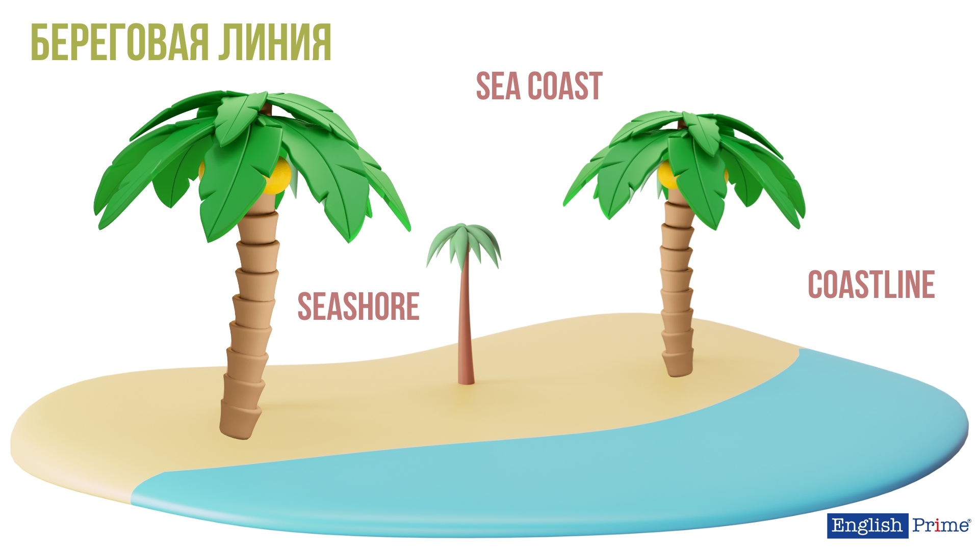 Береговая линия