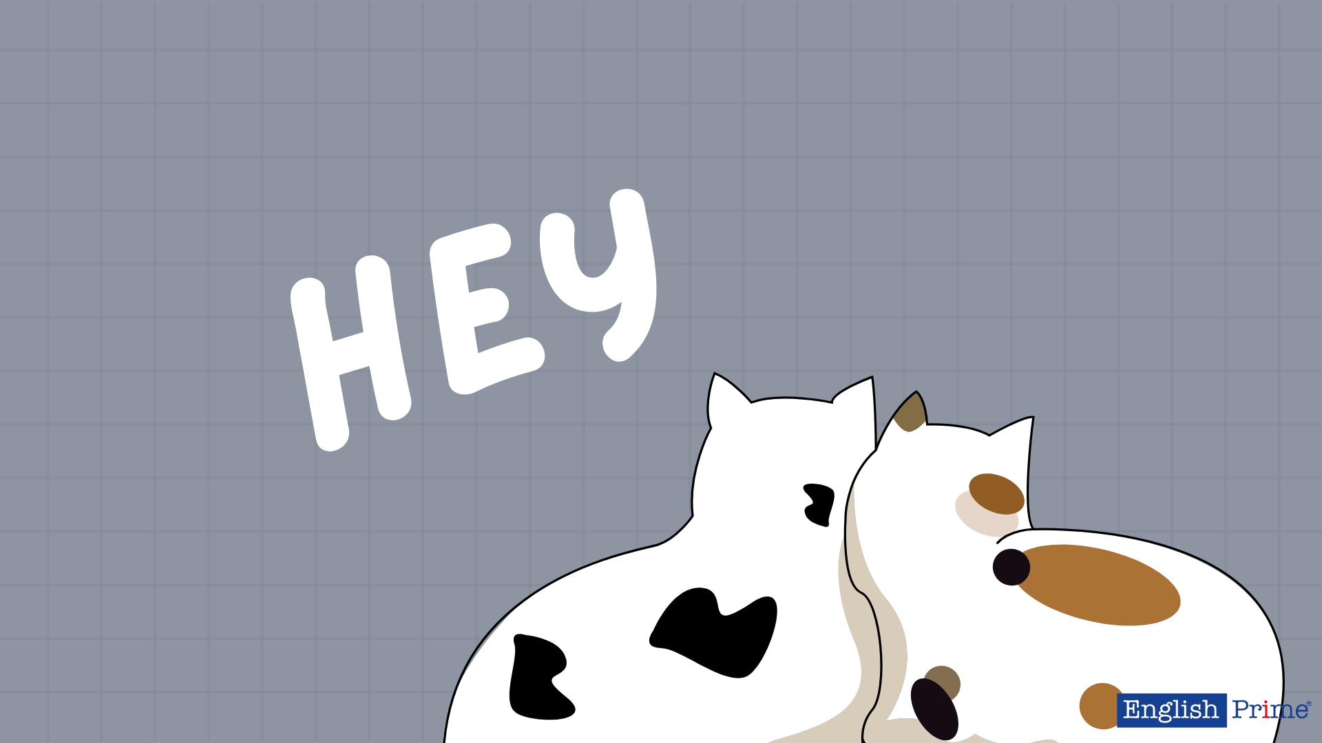Hey or Hi