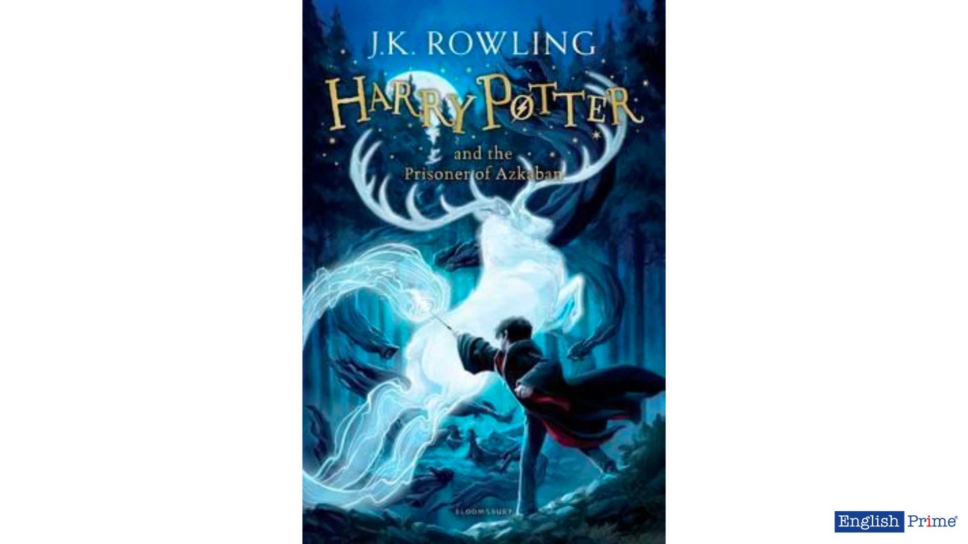 Harry Potter series