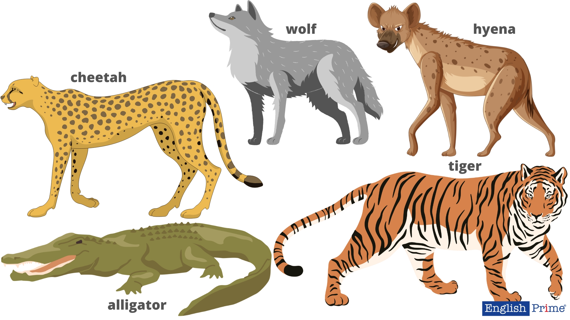 Хищники - predators