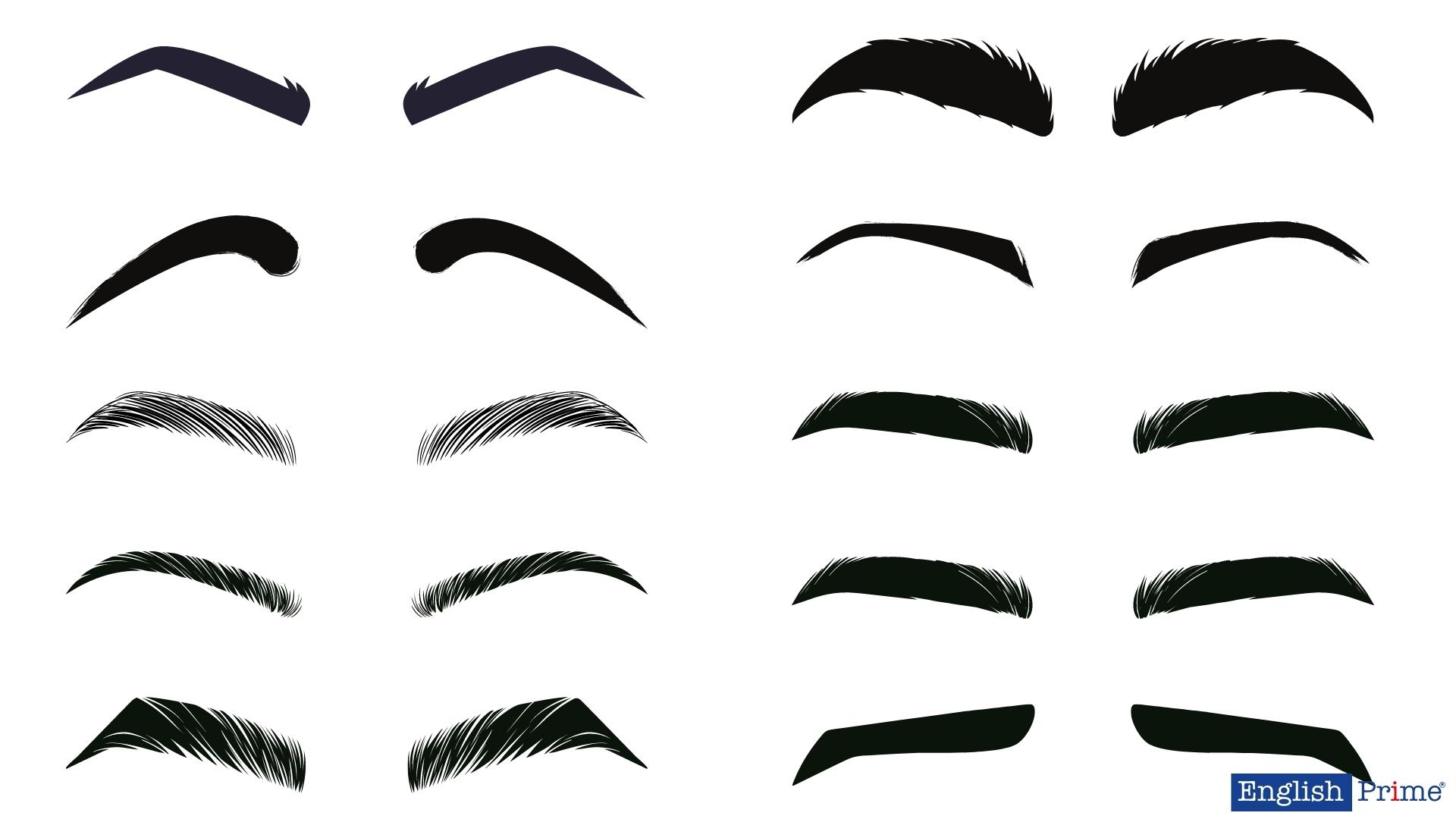 Брови – Eyebrows