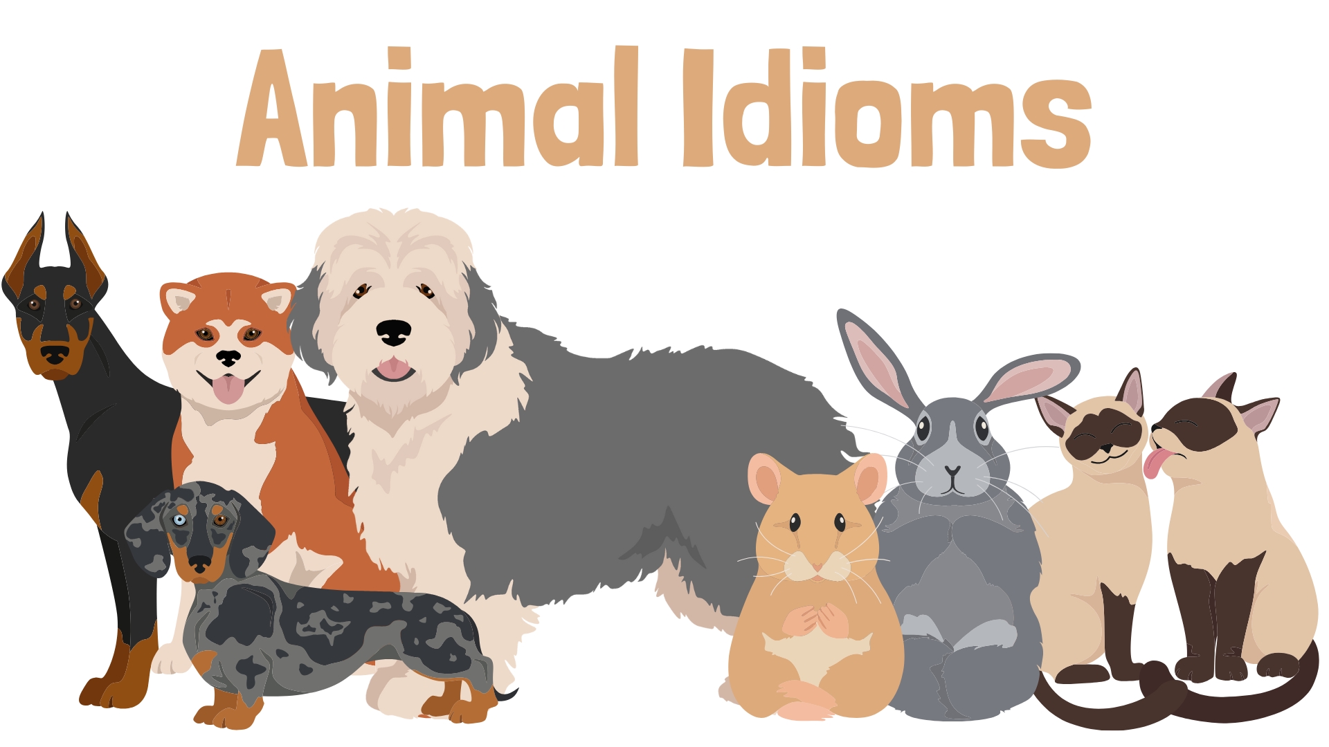 Идиомы про животных на английском