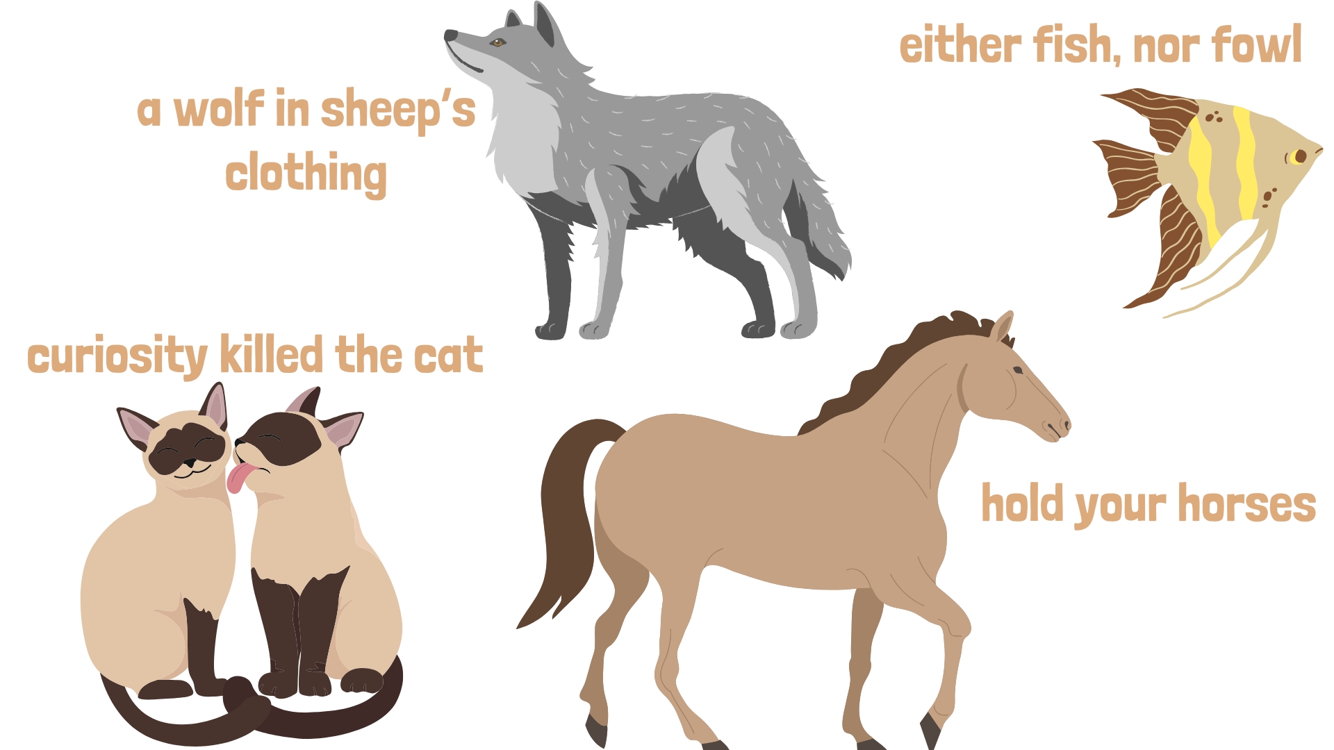 30 английских идиом с животными