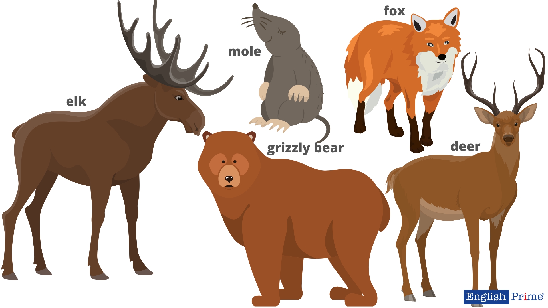 Лесные животные