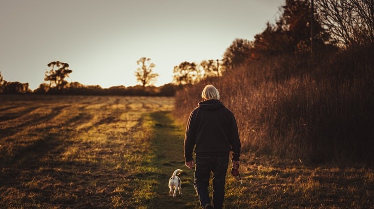 Indicative Mood в англійській