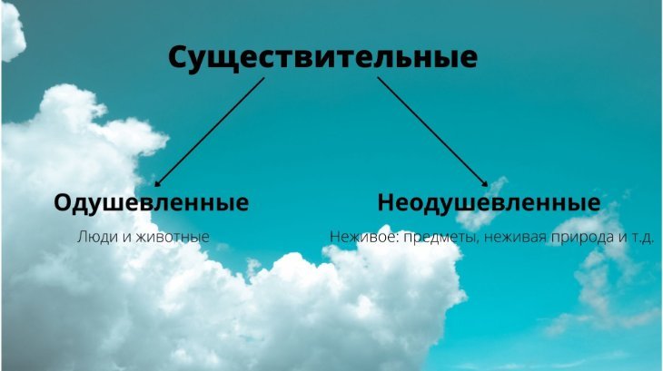 Одушевленные и неодушевленные существительные (1)