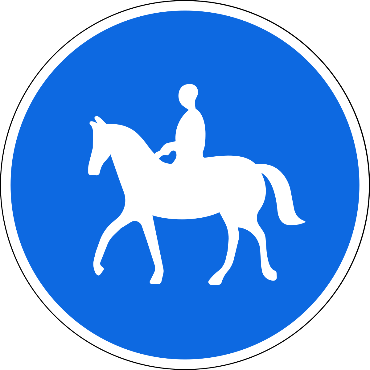 Special regulations - Спеціальні правила